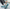 Mazino Core mint green sneakers life